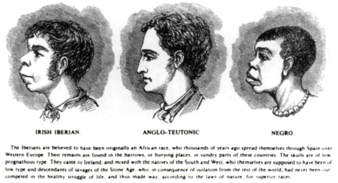 http://thomasnastcartoons.files.wordpress.com/2013/12/scientific_racism_irish-1899.jpg